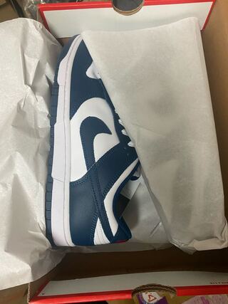 ナイキ ダンク ロー "バレリアンブルー" 27.5cm