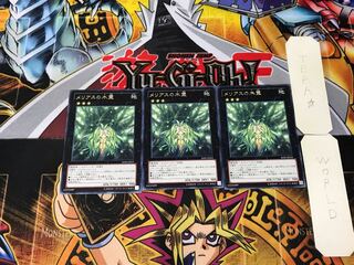 メリアスの木霊 4 レア 3枚セット てら