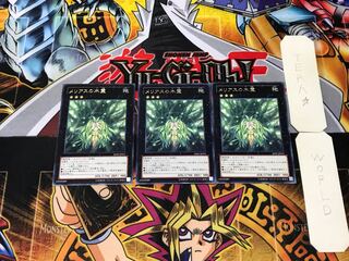 メリアスの木霊 5 レア 3枚セット てら