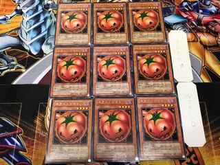 Mystic Tomato 1 rare, set of 9 Tera.