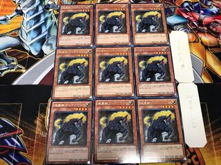 極星獣グルファクシ 1 レア 9枚セット てら