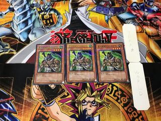 Elemental HERO Wildheart EEN 1 Normal Parallel Set of 3 Tera