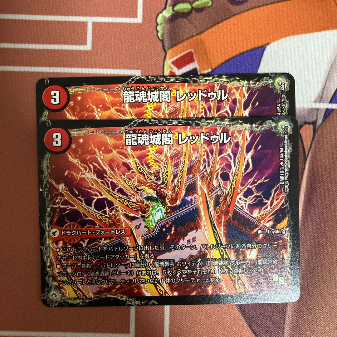 Ryukonjokaku Reduru｜Kyokushin Ryukon All Over the World (bottom)