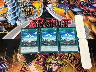 RR-Nest 3 rare, set of 3 Tera.