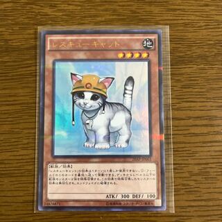 Rescue Cat Parallel for Mr. Gutsman Rescue Cat Parallel exclusively for Gutsman