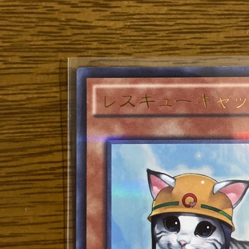 Rescue Cat Parallel for Mr. Gutsman Rescue Cat Parallel exclusively for Gutsman