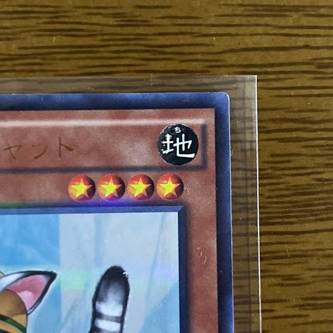 Rescue Cat Parallel for Mr. Gutsman Rescue Cat Parallel exclusively for Gutsman