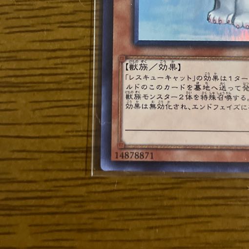 Rescue Cat Parallel for Mr. Gutsman Rescue Cat Parallel exclusively for Gutsman