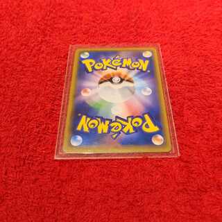 Bulk purchase, Mr. Shotei