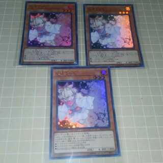 Ash Blossom & Joyous Spring Ultra Set of 3 *Discounts available when purchasing 2 or more items*.