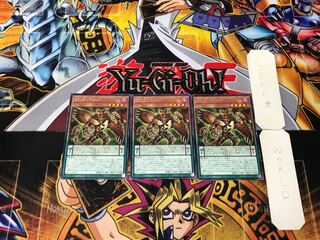 DD Gryphon 3 rare, set of 3 Tera.
