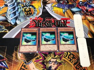 BF - Aurora of Polar Light 2 Rare, Set of 3 Tera.