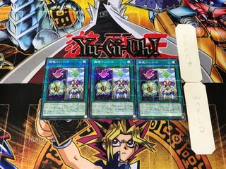 Appliancer Conversion 1 Normal Parallel Set of 3 Tera.