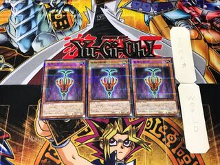 聖種の影芽 1 ノーマルパラレル 3枚セット てら