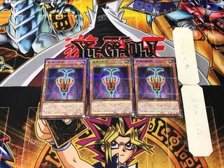 聖種の影芽 3 ノーマルパラレル 3枚セット てら