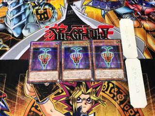 聖種の影芽 4 ノーマルパラレル 3枚セット てら