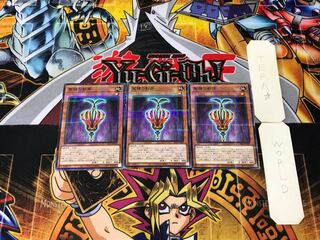 聖種の影芽 5 ノーマルパラレル 3枚セット てら