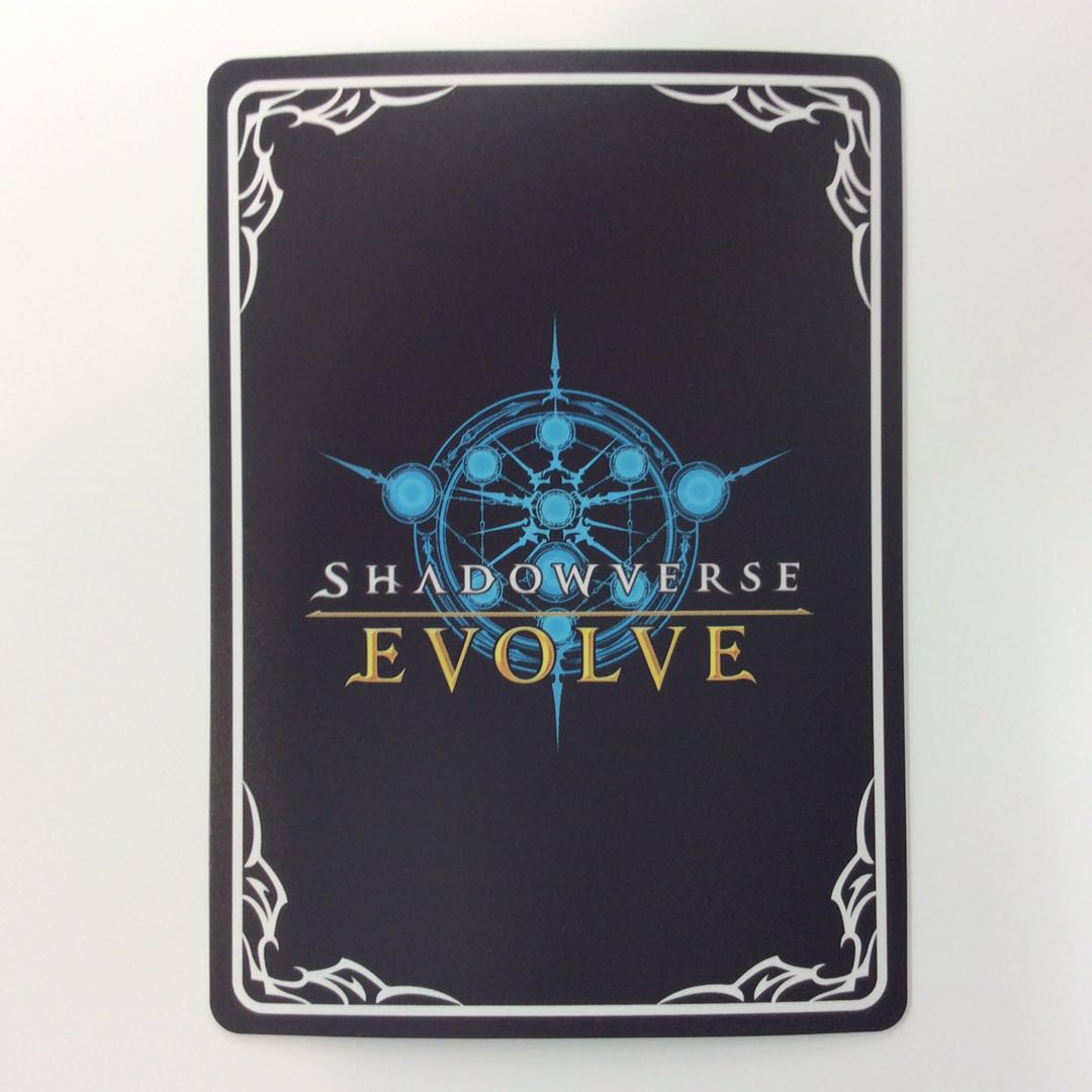 (美品)ガブリエル UR BP01-U07 1枚