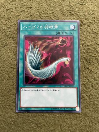 ハーピィの羽根帚 ノーマル