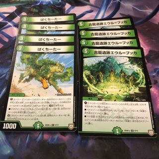 ぱくちーたー、エウルブッカ