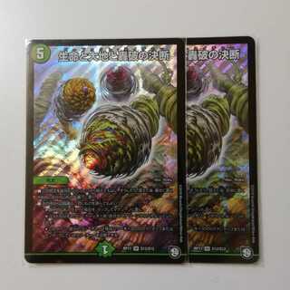 生命と大地と轟破の決断 パーフェクトネイチャー 2枚セット