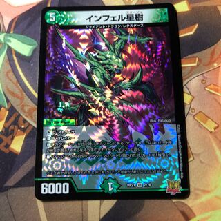 Infelix star tree (species of sedge, Infelix infertilis)