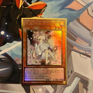 Ash Blossom & Joyous Spring Premium Gold Umi Outside Illustration