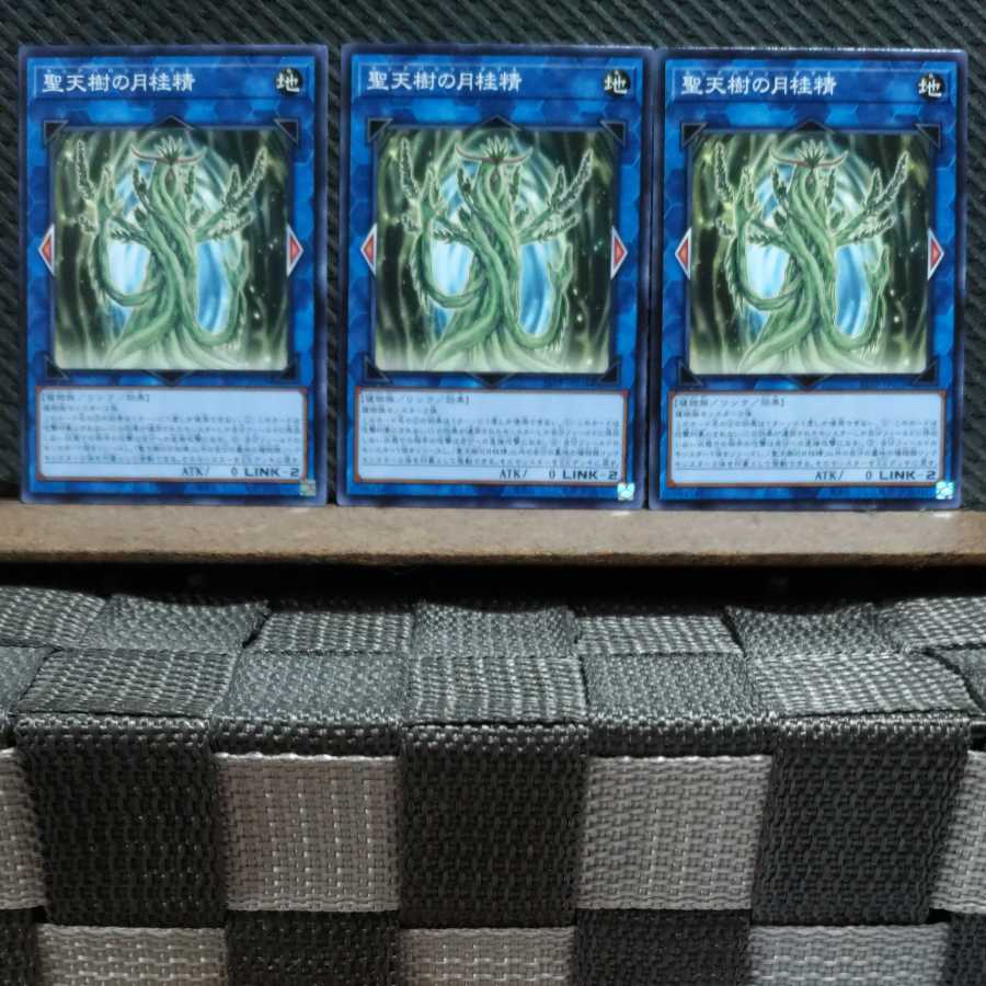 Popotan] Yu-Gi-Oh! 8608 Sunavalon Daphne 3 Normal