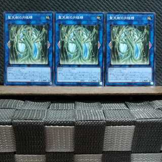 【ぽぽたん】遊戯王 3668 聖天樹の月桂精  ノーマル3枚
