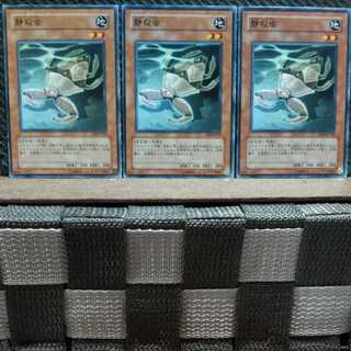 Popotan] Yu-Gi-Oh! 3769 Silent Insect 3 cards Normal