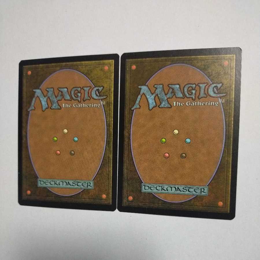 MTG 空殴り/Skylasher 日本語 在庫2枚