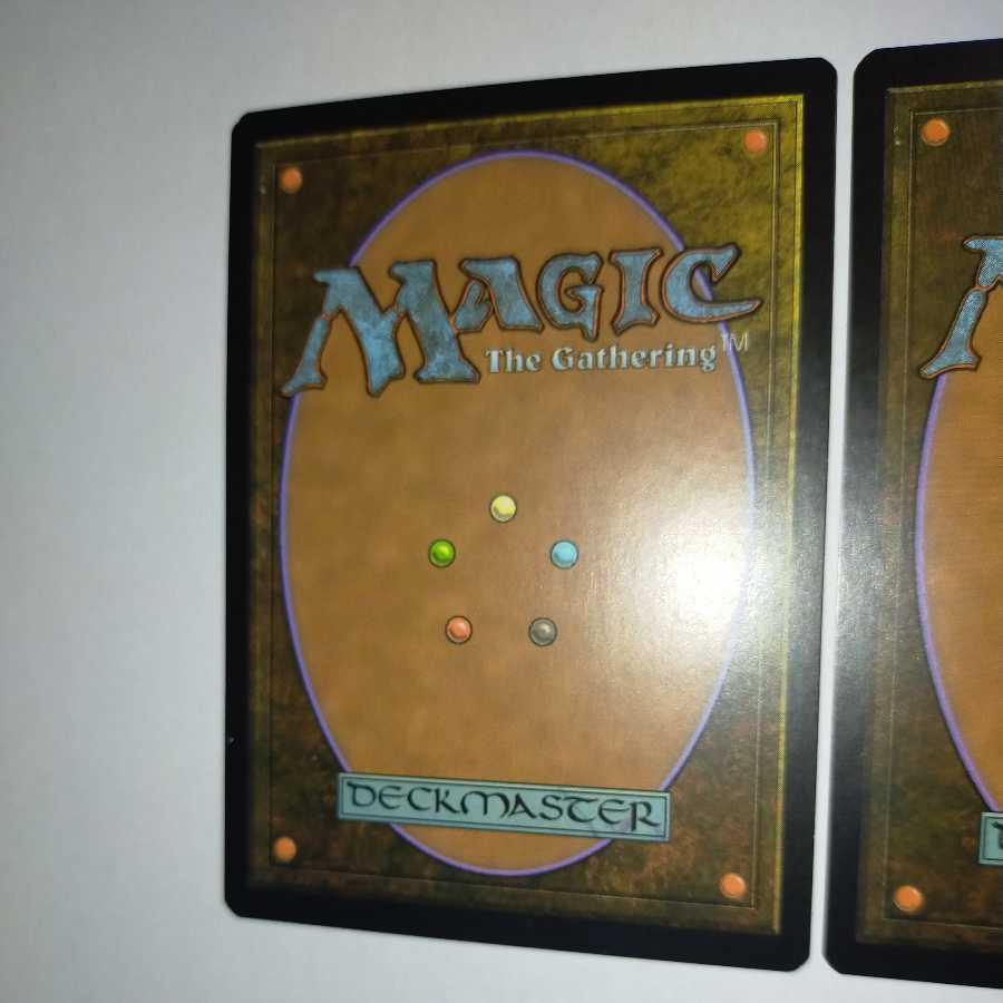 MTG 空殴り/Skylasher 日本語 在庫2枚