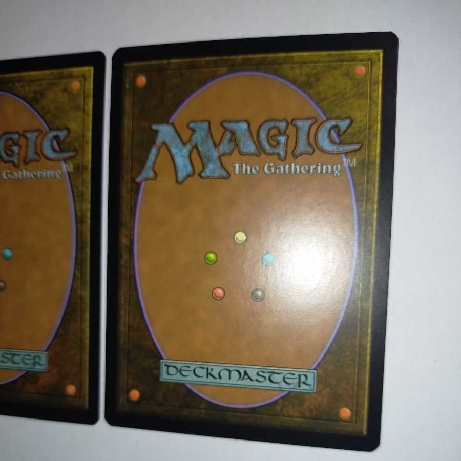 MTG 空殴り/Skylasher 日本語 在庫2枚