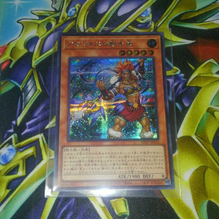 Warrior Chief of the Amazones Secret *Discounts available for purchases of 2 or more items*.