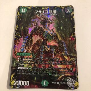 Brachio Dragon Tree (20th Silver Treasure)