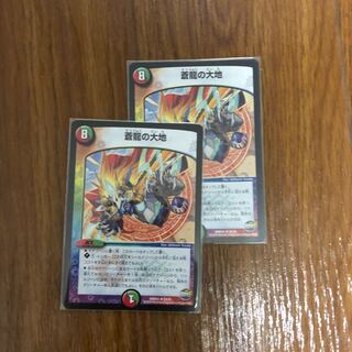 蒼龍の大地 2枚