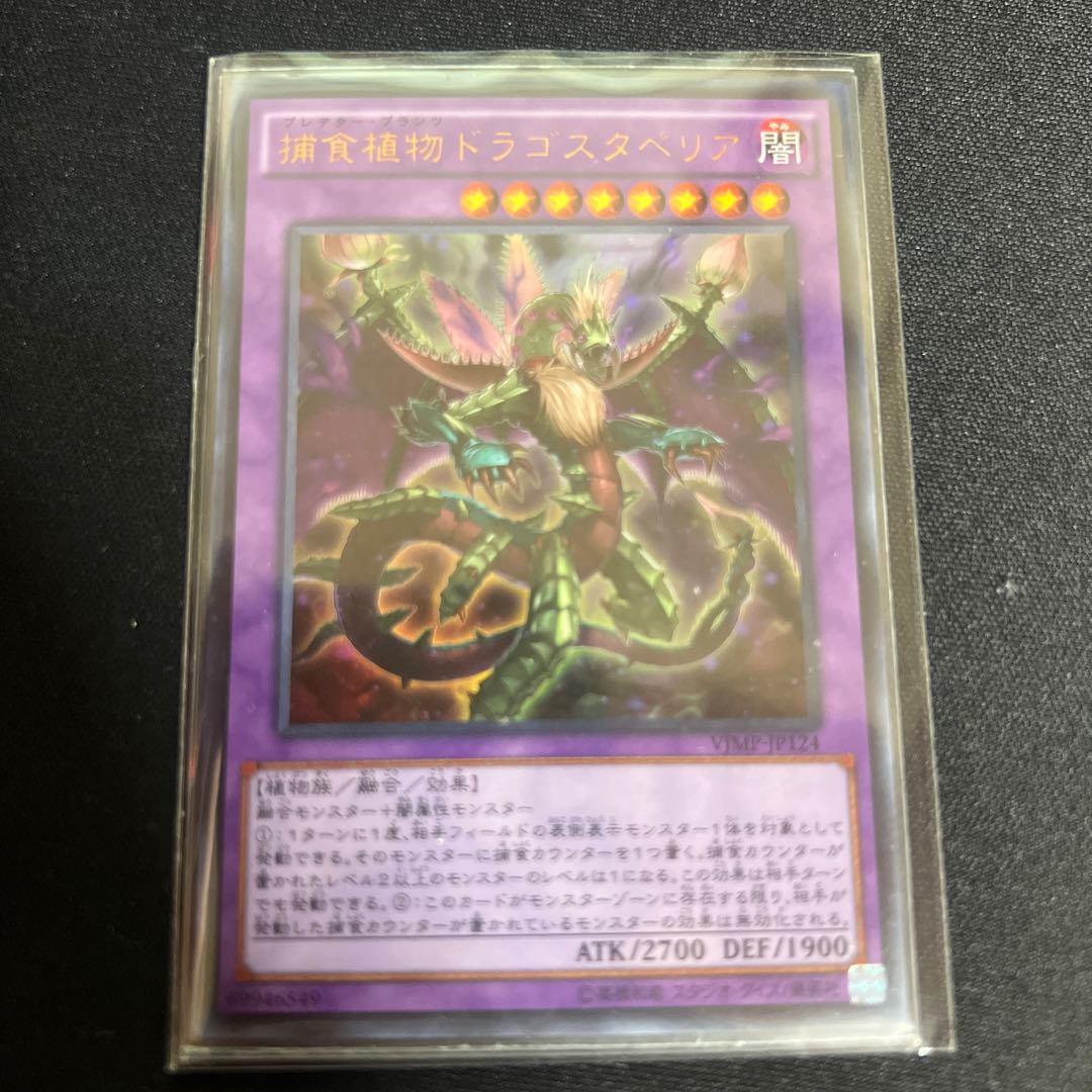 捕食植物ドラゴスタペリア