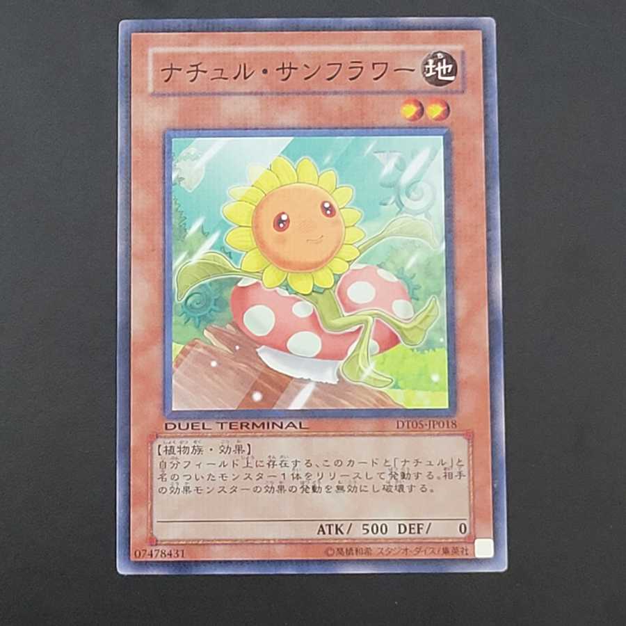 Naturia Sunflower 1枚