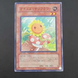 Naturia Sunflower 1枚