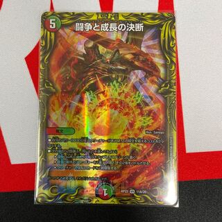 Fighting Conflict and Growth Decision A