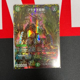 Brachio Ryuki Silver