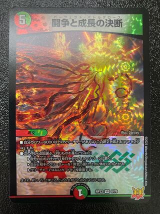 Fighting Conflict and Growth Decisions