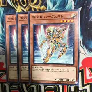 智天使ハーヴェスト 3枚