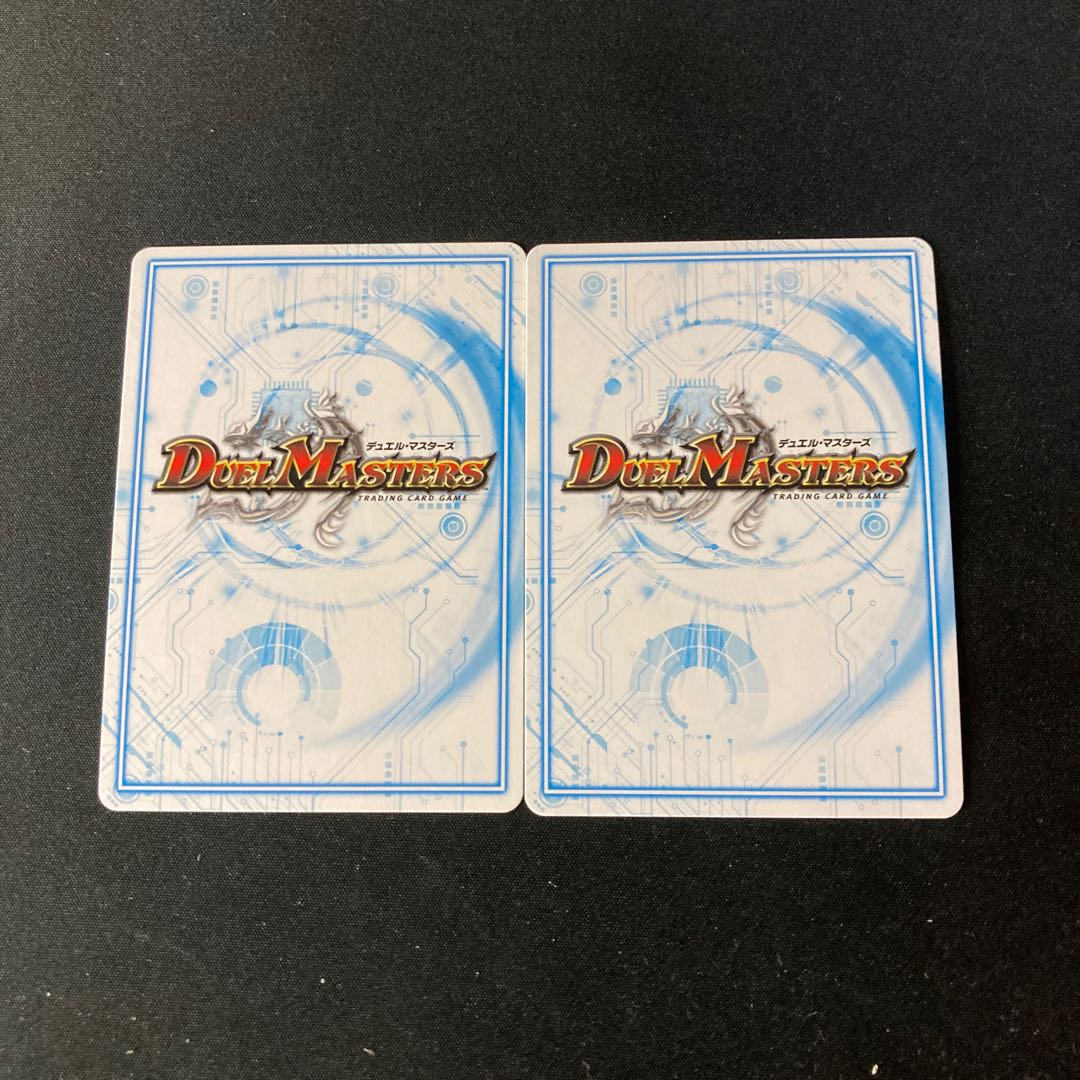 Red Lizard Red Shadow