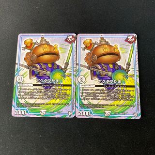 Poktama (variety of rice)