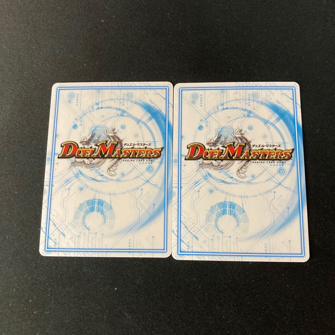 Poktama (variety of rice)