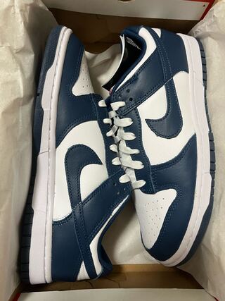 ナイキ ダンク ロー "バレリアンブルー" 26.5cm