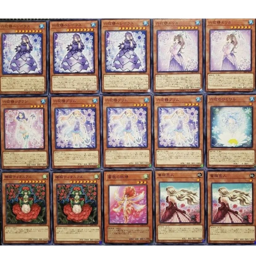 [Wight] NO.287 Yu-Gi-Oh! Constructed Rokka Deck!