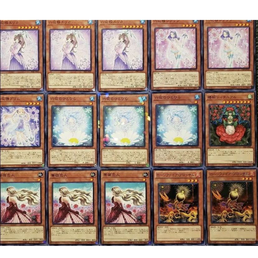 [Wight] NO.287 Yu-Gi-Oh! Constructed Rokka Deck!