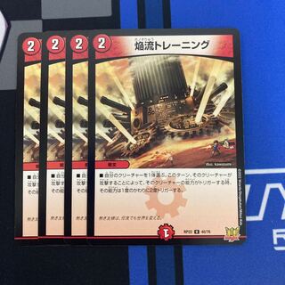 Flame style training